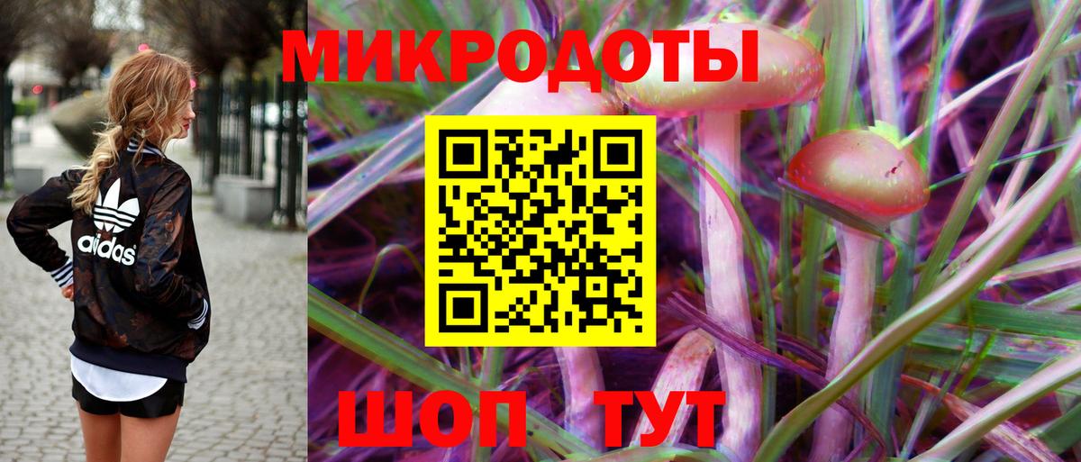 Белогорск  Псилоцибиновые грибы мицелий  Вход с VPN 