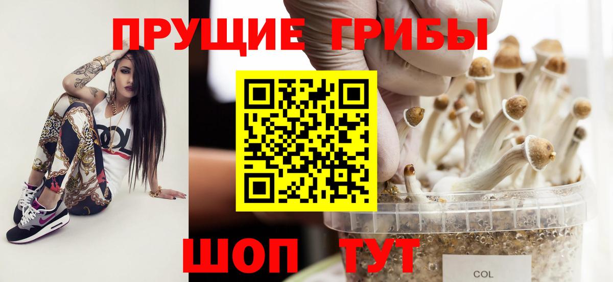 Псилоцибиновые грибы Psilocybe Белогорск